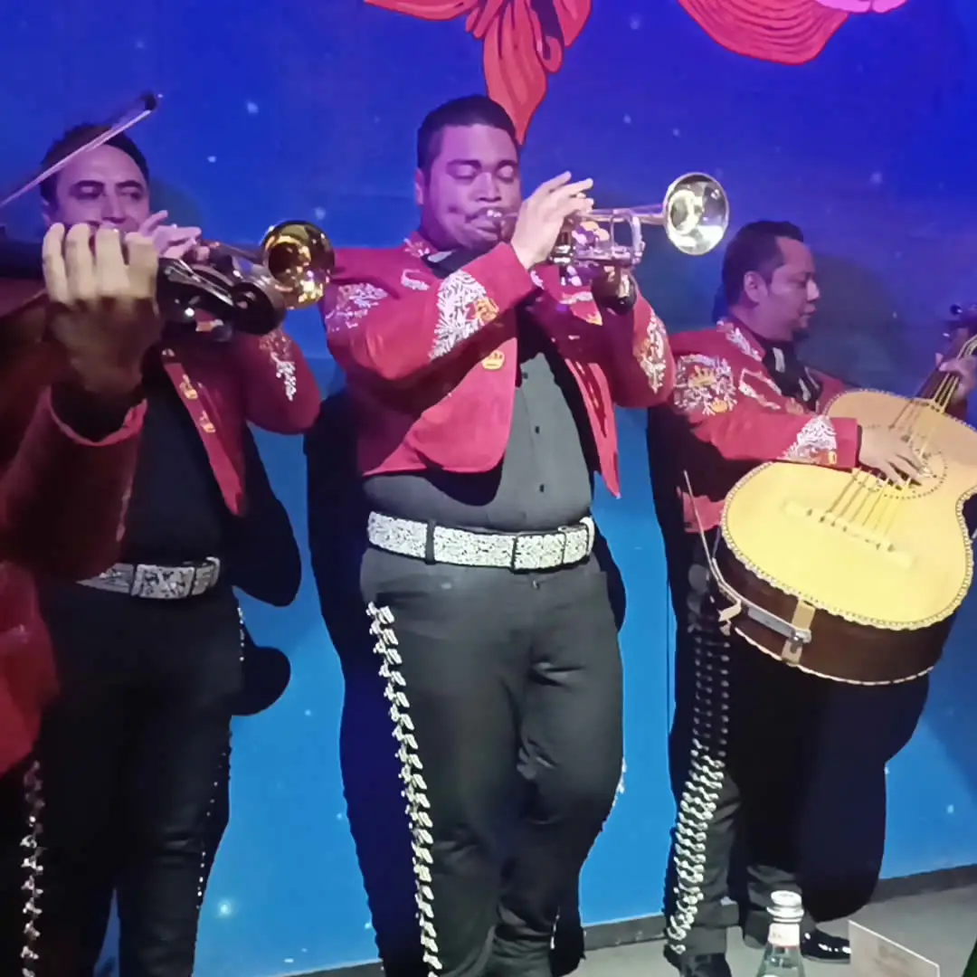 mariachi eventos coyoacan