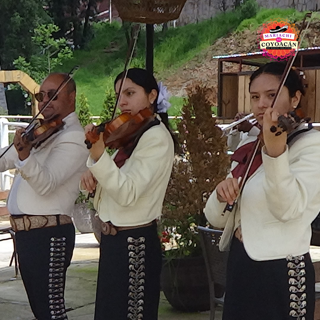 mariachi serenata coyoacan